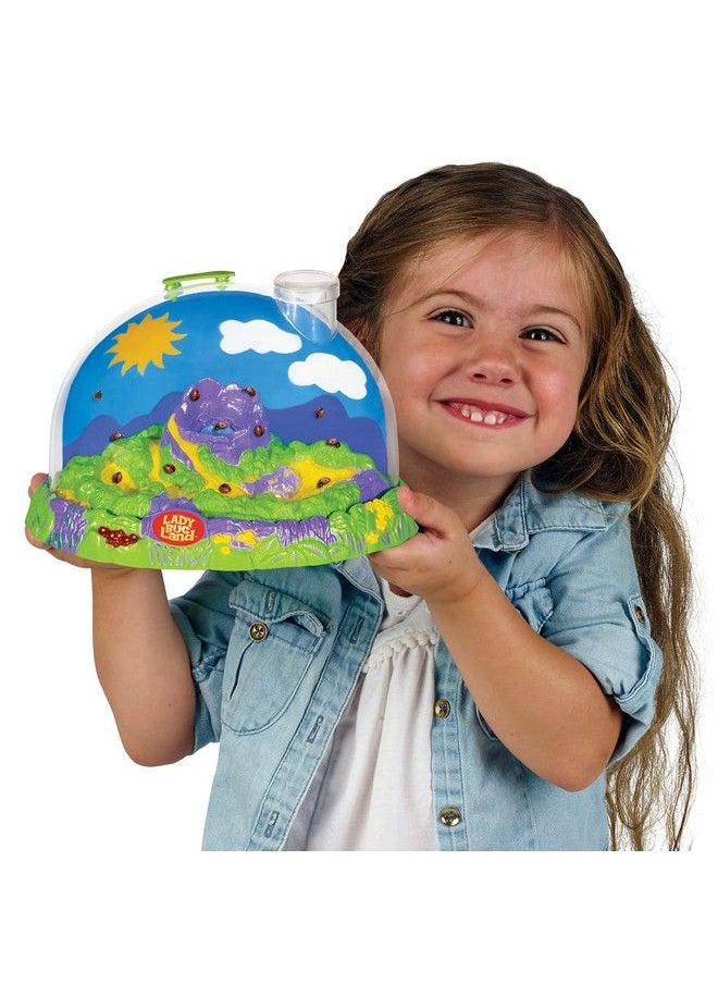 Insect Lore - Live Ladybug Growing Kit Toy Observation Skills - Image 1