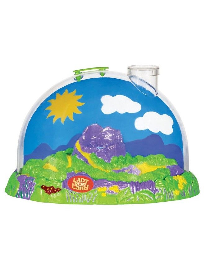 Insect Lore - Live Ladybug Growing Kit Toy Observation Skills - Image 1