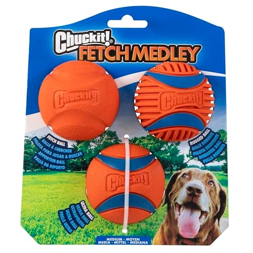 Chuckit Dog Balls Interactive Dog Toys HighBounce Fetch Ball Ultra and Rugged Balls Durable Size Medium 25inch Diameter Set of 3 - Image 1