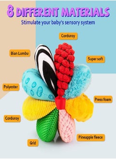 teytoy 8-in-1 Sensory Balls for Infant Toddlers,Rainbow Fabric Baby Toy for Sensory Development,Montessori Toys for Babies 6-12 months,8 Different Sensory Tactile Textures with Crinkle Rattle Squeakers  - Image 2