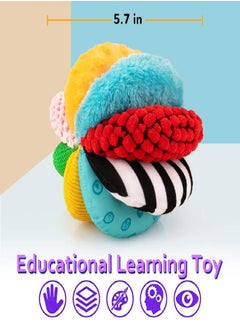 teytoy 8-in-1 Sensory Balls for Infant Toddlers,Rainbow Fabric Baby Toy for Sensory Development,Montessori Toys for Babies 6-12 months,8 Different Sensory Tactile Textures with Crinkle Rattle Squeakers  - Image 4