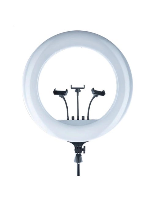 LED Ring Light RL-21 with Remote Control and Stand for Smartphone & Camera – Perfect for YouTube & Video Recording