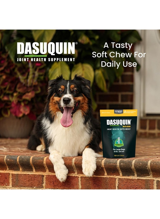 Nutramax Laboratories Nutramax Laboratories Dasuquin with MSM Joint Health Supplement for Large Dogs - With Glucosamine, MSM, Chondroitin, ASU, Boswellia Serrata Extract, and Green Tea Extract, 150 Soft Chews  - Image 4