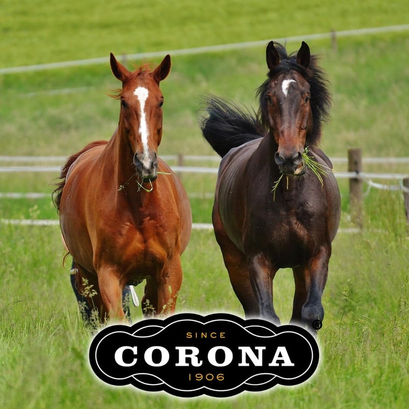 Manna Pro Corona Ointment for Horses|Lanolin Based Formula Helps Sooth Irritation|7 Ounces - Image 3