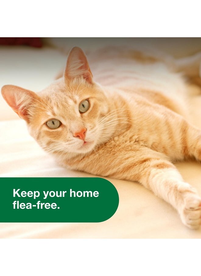 أدفنتاج بخاخ Advantage Household Spot & Crevice Spray | يقضي على البراغيث والقراد والبق | 24 أونصة  - Image 2