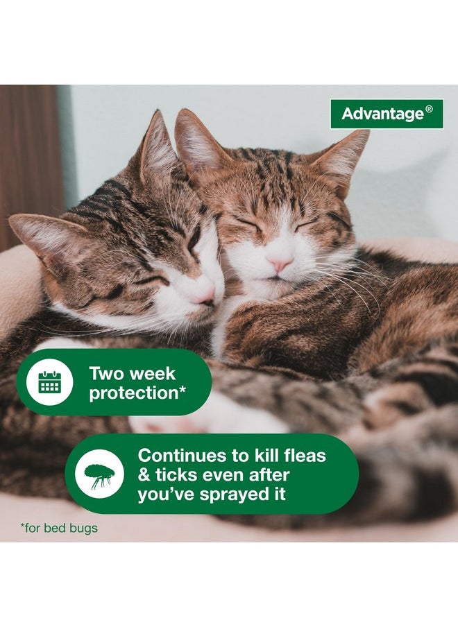 أدفنتاج بخاخ Advantage Household Spot & Crevice Spray | يقضي على البراغيث والقراد والبق | 24 أونصة  - Image 4