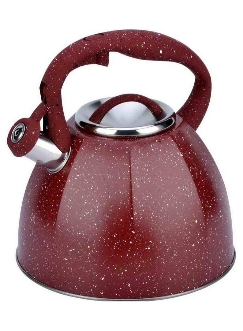 4L Stainless Steel Teapot Made of food grade stainless steel, sturdy and durable, healthy and safe, easy to clean Comfortable handle, whistle design will sound a safety alarm when boiling, the whole process of boiling water is safe and worry-free, providing more security for the family Black/Grey/Red/Beige (Color: Grey, - Image 1