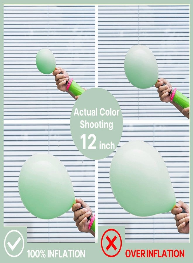 PartyWoo Mint Green Balloons, 50 pcs 12 Inch Pastel Mint Green Balloons, Mint Balloons for Balloon Garland Balloon Arch as Party Decorations, Birthday Decorations, Baby Shower Decorations, Green-Q06 - Image 3