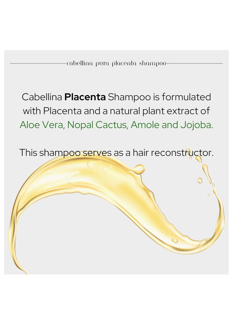 Cabellina Cabellina Reconstructor Shampoo with Proteins, Keratin Amino Acids & Natural Oils. Includes Root Brush - 32 fl oz - PURA PLACENTA (1 Count)  - Image 2