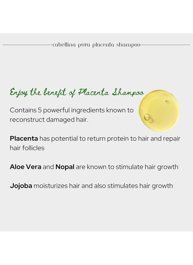 Cabellina Cabellina Reconstructor Shampoo with Proteins, Keratin Amino Acids & Natural Oils. Includes Root Brush - 32 fl oz - PURA PLACENTA (1 Count)  - Image 3
