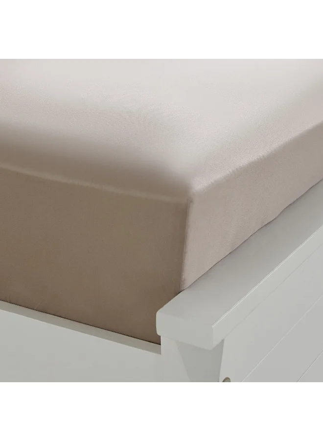 Home Box Opulent Luxe Cotton Solid Queen Fitted Sheet - 150x200+40 cm