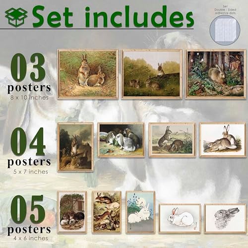 LANCHI95 12 PCS Bunny Easter Wall Art, Vintage Rabbit Art Print, Bunny Pictures Wall Decor, Rabbit Art, Decorative paintings for Easter (UNFRAMED) - Image 2