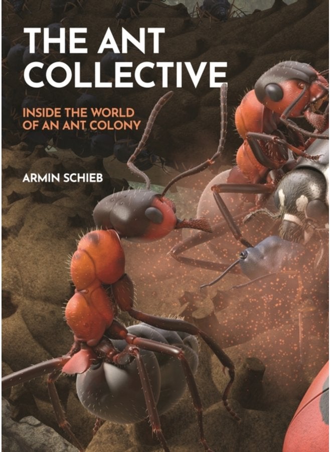 The Ant Collective Inside the World of an Ant Colony - Hardback