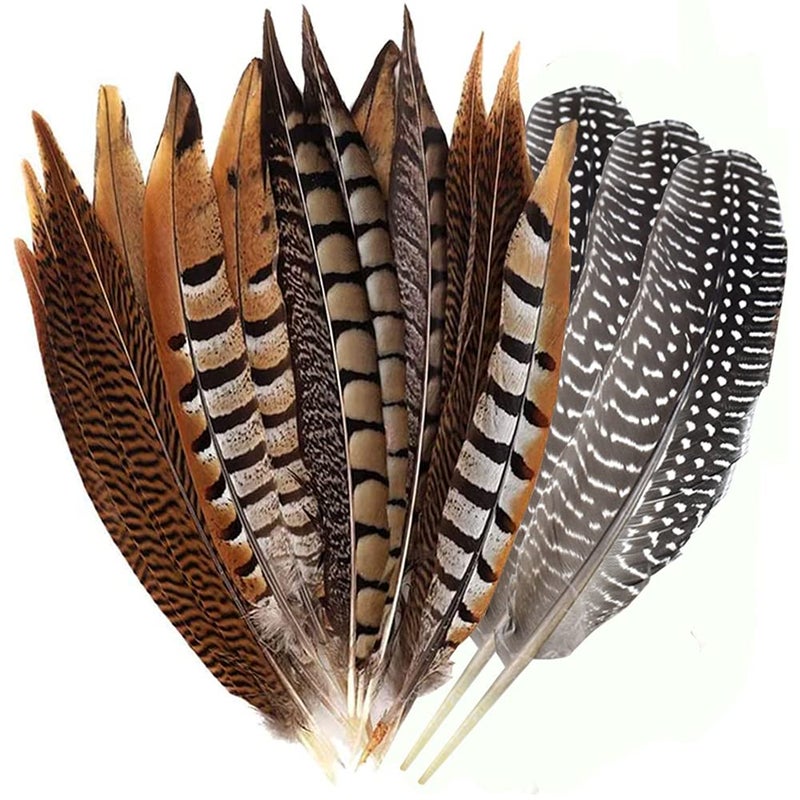 Flying Feathers Natural Pheasant Feathers 4 Style 1520cm 12pcs Natural Feathers for DIY Craft Home Party Decorations FF03