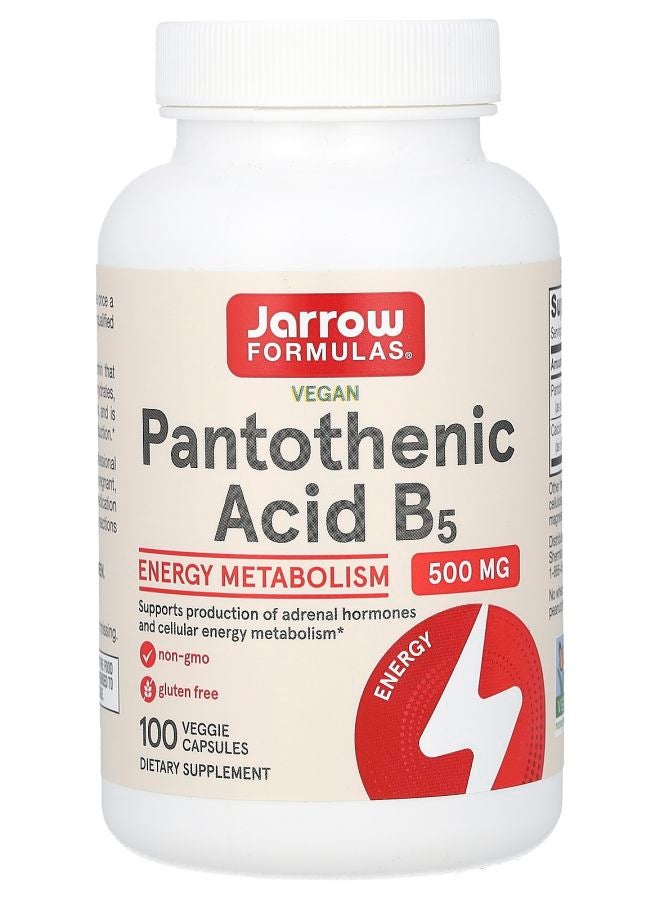 jarrow formulas Pantothenic Acid B5 500 mg 100 Veggie Caps