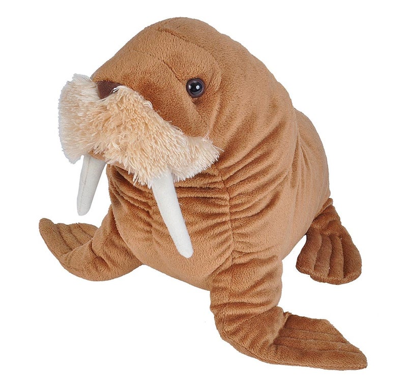 Wild Republic Walrus Plush Stuffed Animal Plush Toy Gifts for Kids Cuddlekins 12 Inches - Image 2