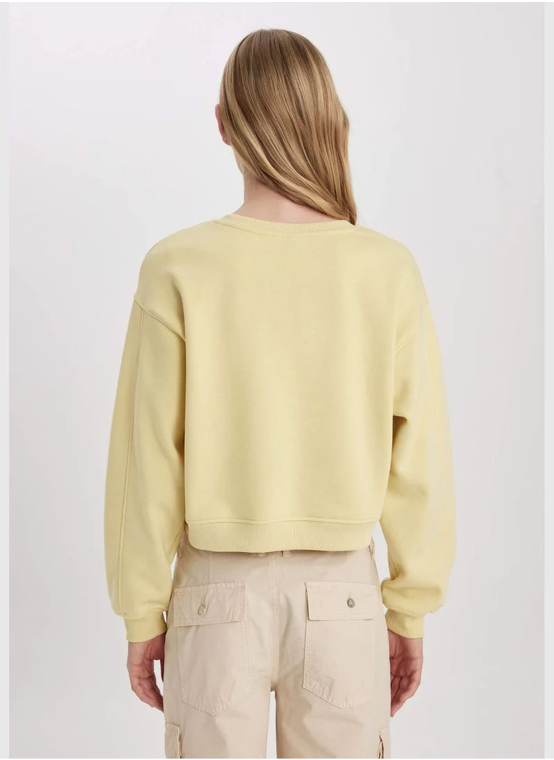 DeFacto Boxy Fit Long Sleeve Sweatshirt