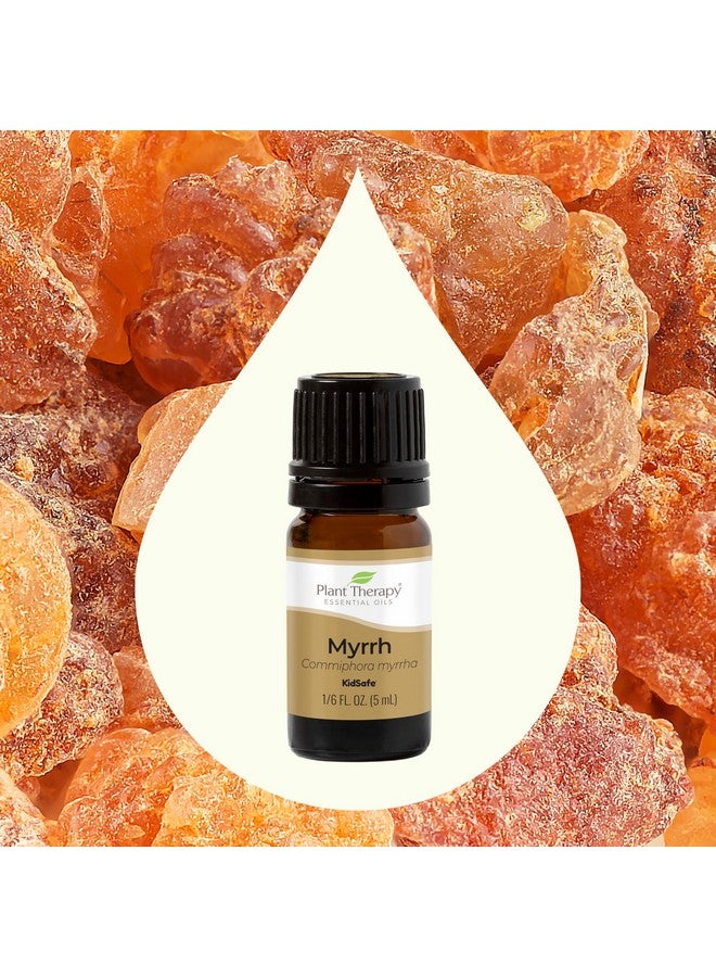 Plant Therapy Myrrh Essential Oil 100% Pure, Undiluted, Natural Aromatherapy, Therapeutic Grade 5 Ml (1/6 Oz) - Image 3