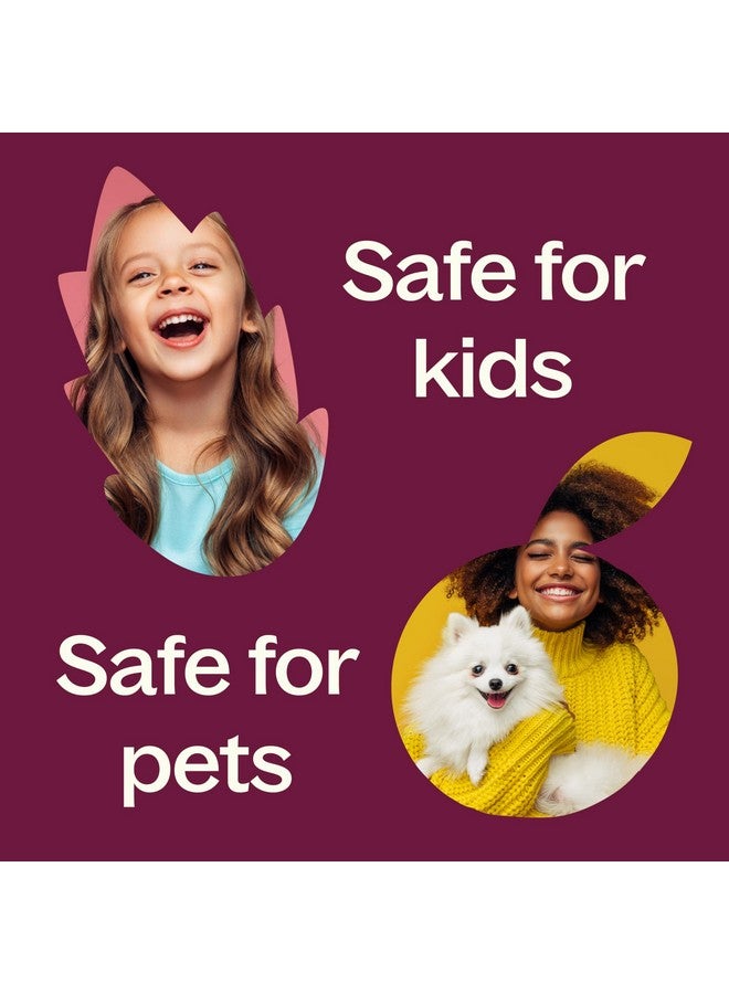 Plant Therapy Myrrh Essential Oil 100% Pure, Undiluted, Natural Aromatherapy, Therapeutic Grade 5 Ml (1/6 Oz) - Image 5