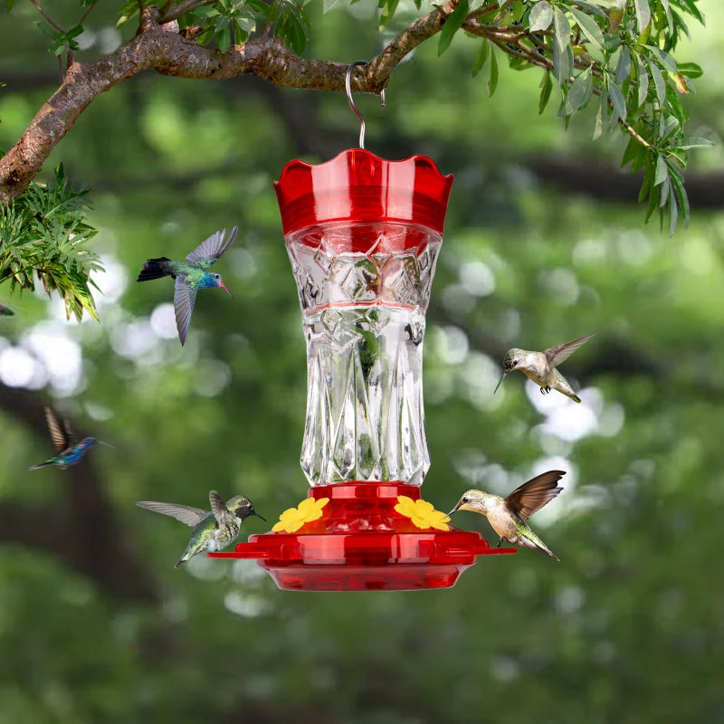 BOLITE Glass Hummingbird Feeders for Outdoors Hanging, Built-in Ant Moat, 4 Bee Guard Feeding Ports with Perches, Leak Proof, 15 Ounces, Stars Decor, Red, Gifts for Women Men, Gifts for Mom Dad - Image 3