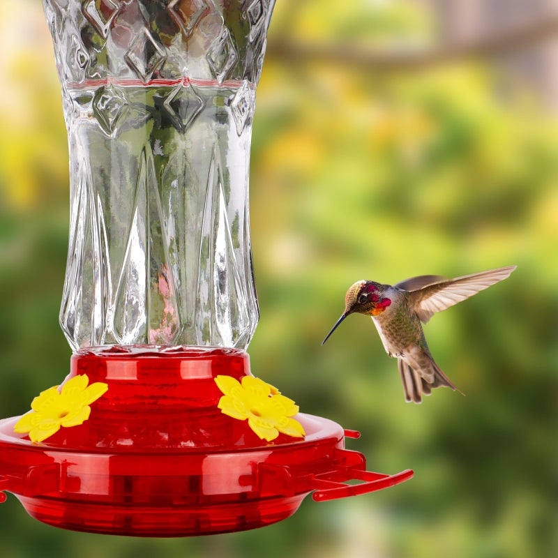 BOLITE Glass Hummingbird Feeders for Outdoors Hanging, Built-in Ant Moat, 4 Bee Guard Feeding Ports with Perches, Leak Proof, 15 Ounces, Stars Decor, Red, Gifts for Women Men, Gifts for Mom Dad - Image 2