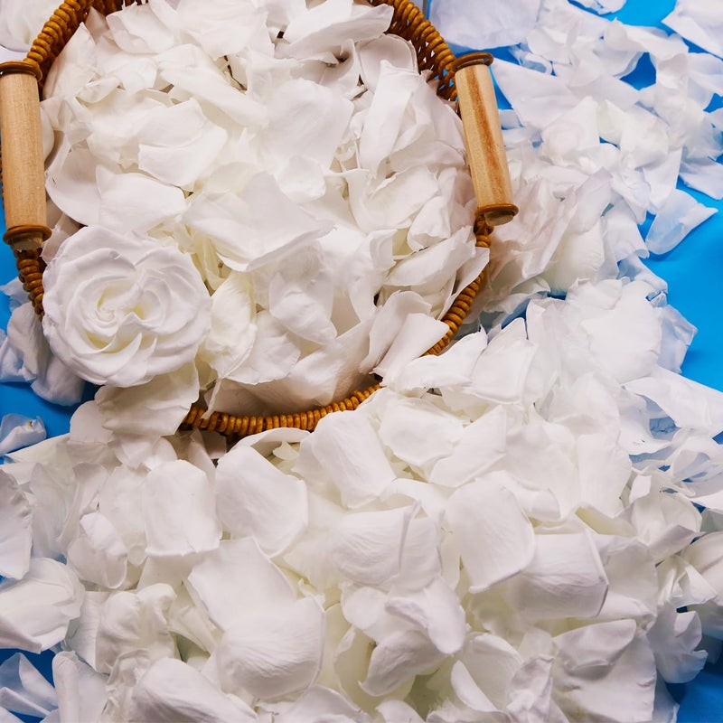 Koceko Dried Real White Rose Petals Freeze Preserved Flower Petals 28 oz for Valentines Day Gifts Wedding Party Decor Flower Girl Dinner Table Centerpieces Bridal Shower Flower Confetti 80g