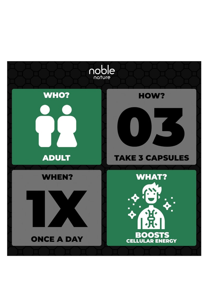 نوبل نيتشر NAD+ 2000 ملغ - نيكوتيناميد ريبوسيد أدينين دينوكليوتيد محفز NAD - 90 كبسولة نباتية - إمداد لمدة 30 يومًا - Image 5