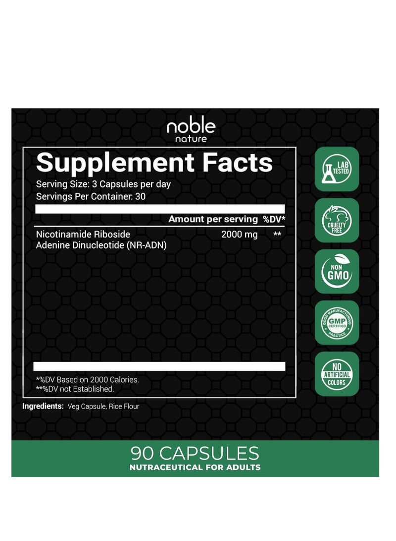 نوبل نيتشر NAD+ 2000 ملغ - نيكوتيناميد ريبوسيد أدينين دينوكليوتيد محفز NAD - 90 كبسولة نباتية - إمداد لمدة 30 يومًا - Image 2