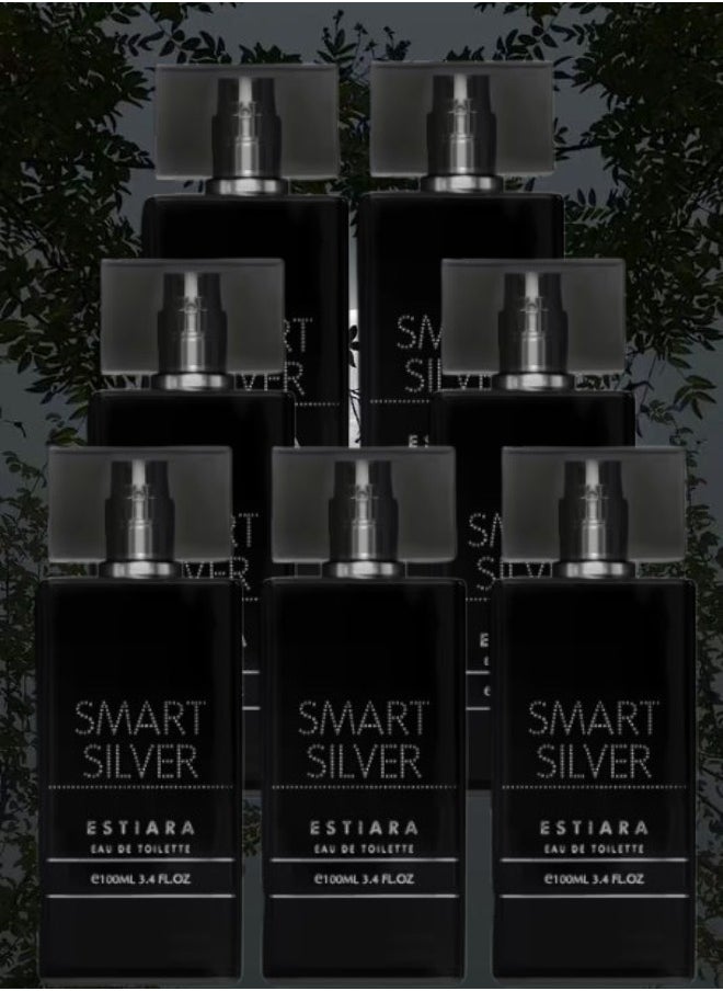 7 Pieces Smart Silver Perfume 100ML - pzsku/Z202621B8B0DCACBF8002Z/45/_/1708609346/ed5ece23-2a37-4e25-b45e-07057f00e538