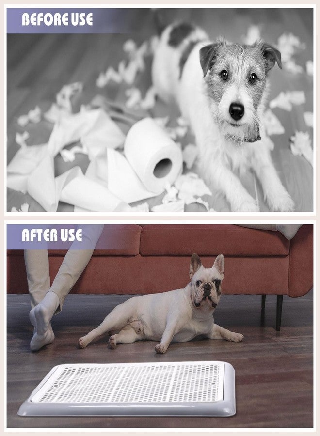 Mifoci Dog Training Pad Holder with Mesh Tray Non-Slip Leak Proof Puppy Potty Tray for Small Medium Large Dogs Pee Pad Holder Easy Clean Indoor Bathroom(19.69 x 14.17 Inch) - Image 5