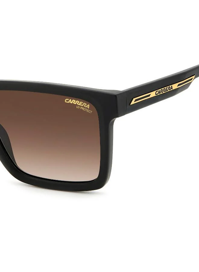 Carrera Square Sunglasses