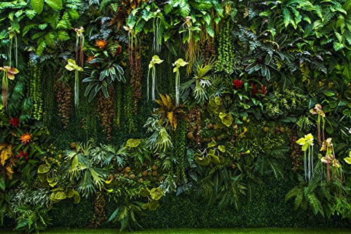 Reyhui Green Wallpaper Banana Leaf Floral Mural Wallpaper for Bedroom Living Room TV Background Sofa Wall (not self-Adhesive) - Image 2