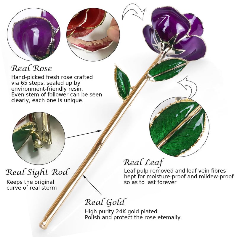 Sinvitron Gold Dipped Rose 24K Real Rose  Long Stem Hand Dipped in 24k Gold Rose Unique Romantic Gifts for Women in Her Birthday  Anniversary Valentines Day  for Mom (Purple) - Image 2