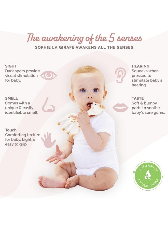 صوفي لا جيراف مجموعة جوائز صوفي الزرافة | تتضمن صوفي الزرافة، وعضاضة صغيرة، وتعليمات مصورة | مصنوعة يدويًا في فرنسا منذ 60 عامًا | مطاط طبيعي | مصممة خصيصًا للأطفال في مرحلة التسنين - Image 1