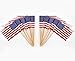 JAVD CYPS 100 Pcs USA American Flag US Toothpick Flags Small Mini Stick Cupcake Toppers US Flags4th of JulyVeterans DayCountry Picks Party Decoration Celebration Cocktail Food Bar Cake Flags - Image 3