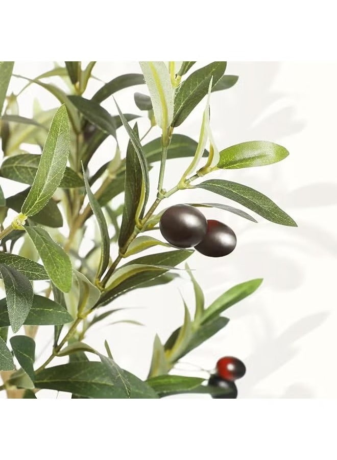 Alrassi Artificial Olive Tree with Realistic Leaves – 165 cm Height, a Natural and Elegant Touch for Home and Office Décor  - Image 5