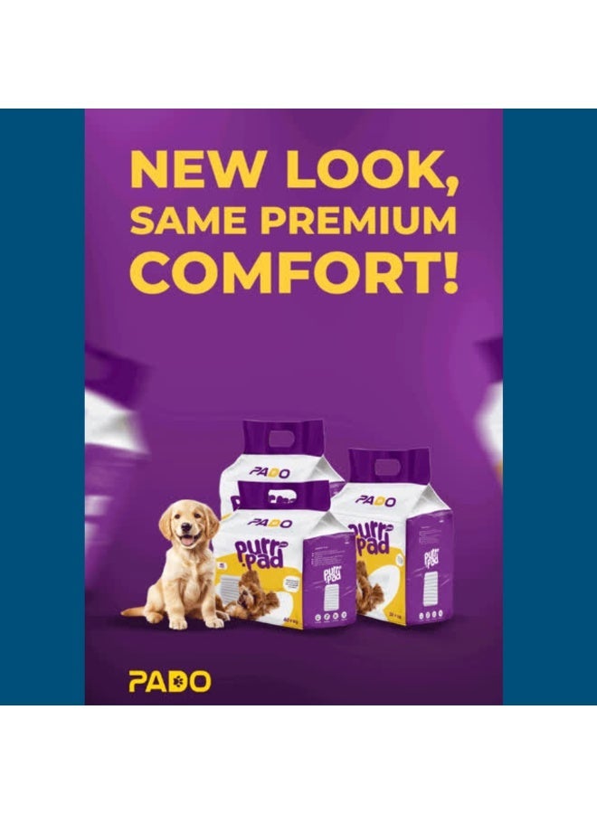 Pado Pet Pad - Advanced Layer Protection - 60 x 60cm - 40pcs - Image 3