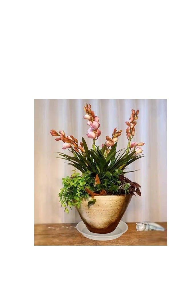 , Planter Pot, Planter Tray Saucer Pots, Planter Tray, Plant Saucers, Plastic Plant Saucers, Shallow Trays Flower Pot for Indoor and Outdoor Plants Beige (20, 20cm) - Image 3