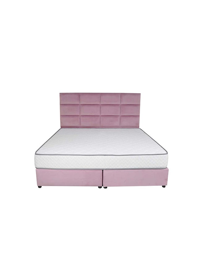 Bed and Mattress Zone Plushify Upholstered Bed 203 X 160 Queen Size Pink Color, Mattress Size-200x160cm (Mattress sold separately)  - Image 3