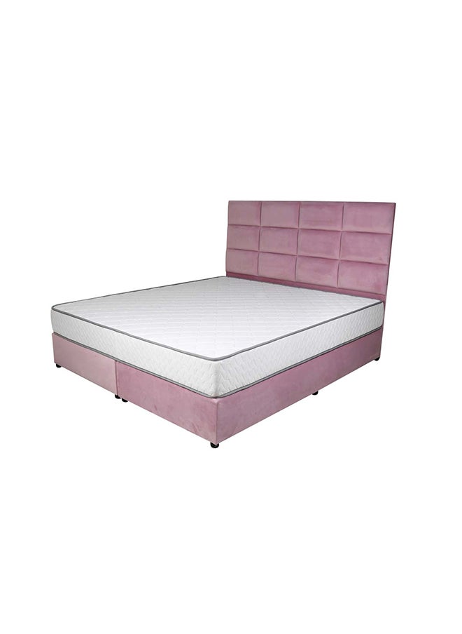 Bed and Mattress Zone Plushify Upholstered Bed 203 X 160 Queen Size Pink Color, Mattress Size-200x160cm (Mattress sold separately)  - Image 2