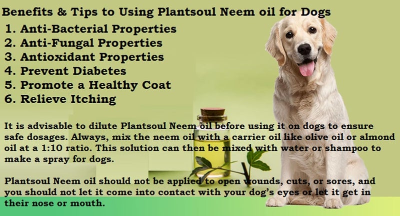 Plantsoul Plantsoul Neem Oil 100 Cold Pressed and Unrefined for Plants Pets Skin and Hair with Free Measuring Cup Water Soluble 250 ml  - Image 5