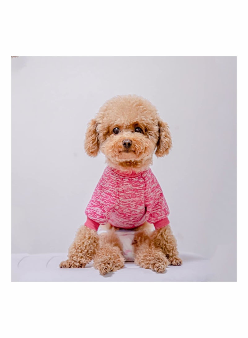 Y&D Pack of 3 Dog Hoodies Knitwear Sweaters Stretchy Pet Clothes Soft Puppy Pullover Cat Hooded Shirts Casual Sweatshirts for Small Dogs Cats Warm Winter Sweater (Size S) - Image 2