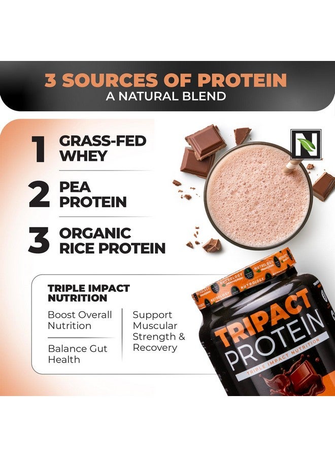 Nutrology TRIPACT Protein Powder, Creamy Chocolate Flavor, 7-in-1 Meal Replacement Shake with Grass Fed Whey Protein Powder, Pea, Rice, Greens, Probiotics & BCAAs, Amino Energy, 40 Servings - Image 4