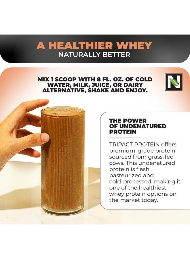Nutrology TRIPACT Protein Powder, Creamy Chocolate Flavor, 7-in-1 Meal Replacement Shake with Grass Fed Whey Protein Powder, Pea, Rice, Greens, Probiotics & BCAAs, Amino Energy, 40 Servings - Image 3