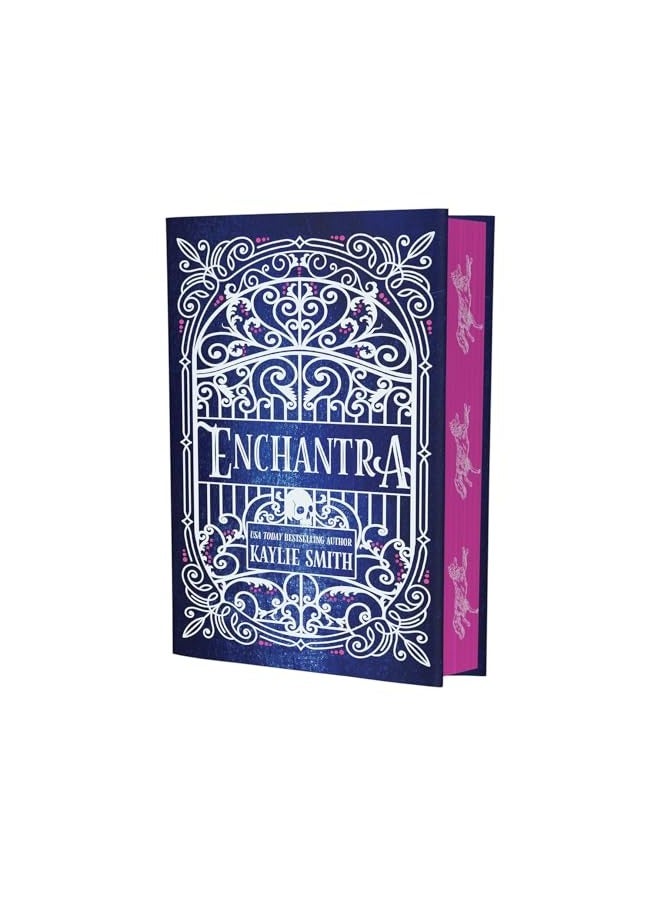 Enchantra A Spicy Fantasy Romance