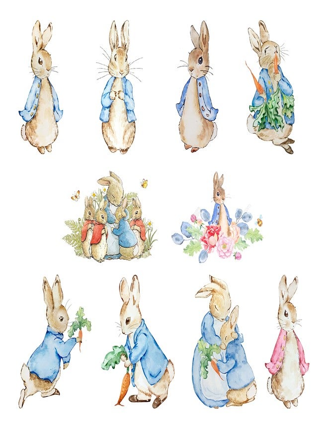 PrettyurParty Pretty UR Party Peter Rabbit Theme Paper Cutouts for Birthday Parties, Peter Rabbit Party Supplies décor, Peter Rabbit Birthday Party Decoration, Cutouts for Classroom, Bedroom –Multicolour (10 pcs) - Image 1