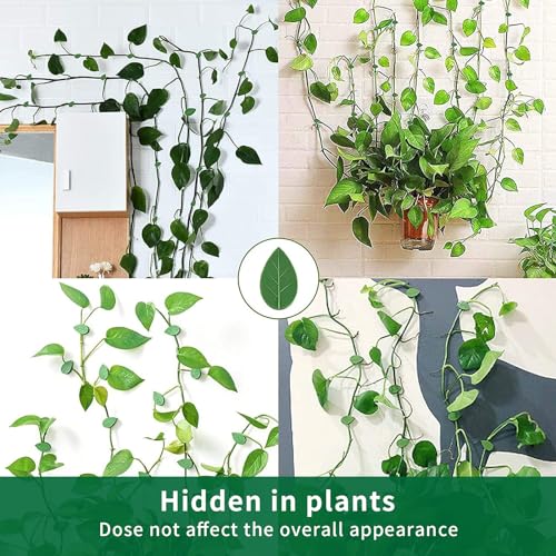 HNHMT 60 pcs Plant Wall Clips with 72 Pieces Acrylic Adhesive Sticker,Plant Climbing Wall Fixture Clips Plant Fixer Invisible Wall Vines Fixing Clips Self-Adhesive Hook Plant Clips Plant Vine Traction - Image 4