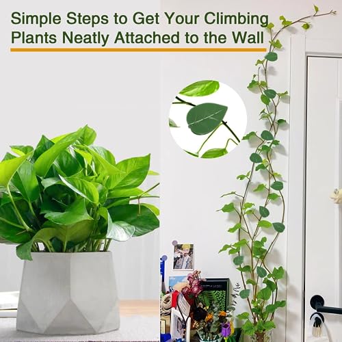 HNHMT 60 pcs Plant Wall Clips with 72 Pieces Acrylic Adhesive Sticker,Plant Climbing Wall Fixture Clips Plant Fixer Invisible Wall Vines Fixing Clips Self-Adhesive Hook Plant Clips Plant Vine Traction - Image 3