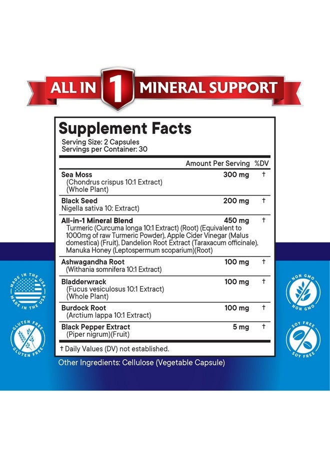 NEW AGE Silica Sea Moss 3000mg Black Seed Oil 2000mg Ashwagandha 1000mg Turmeric 1000mg Bladderwrack 1000mg Burdock 1000mg- with Manuka, Honey Dandelion, ACV Black Pepper Gluten Free - Image 2