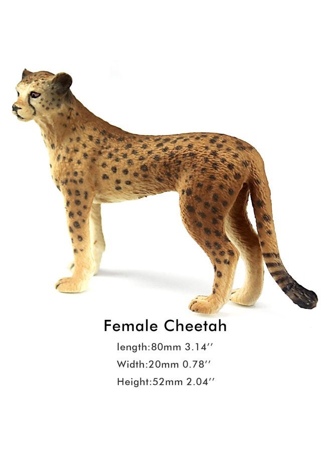 FUNSHOWCASE African Jungle Animals Toy Cheetahs Figure Realistic Plastic Figurine Playset Lot 2-Piece - Image 3